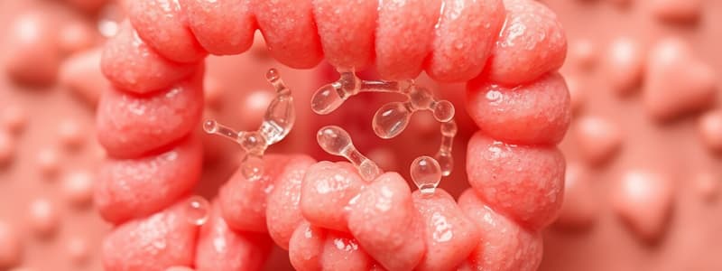 10. Mucosal Digestion