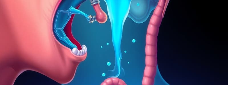 Mastication, Deglution and Dysphagia