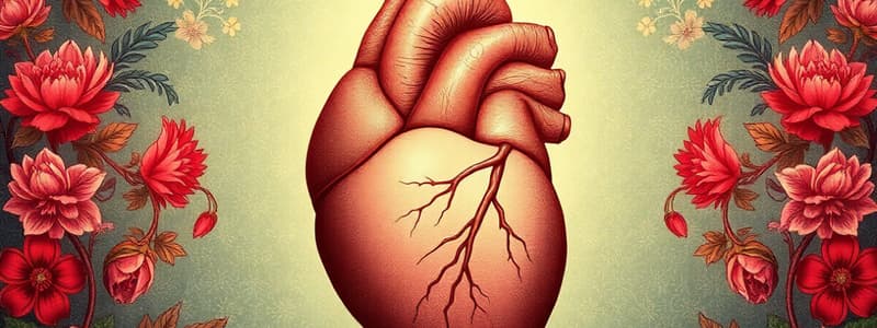 Cardiac Output and Stroke Volume Adaptations