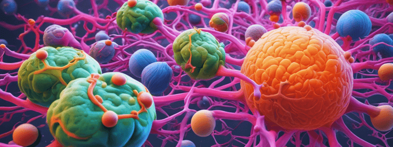 Cell Differentiation Process