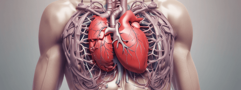 Chest Pain Classification: Cardiac and Non-Cardiac Causes