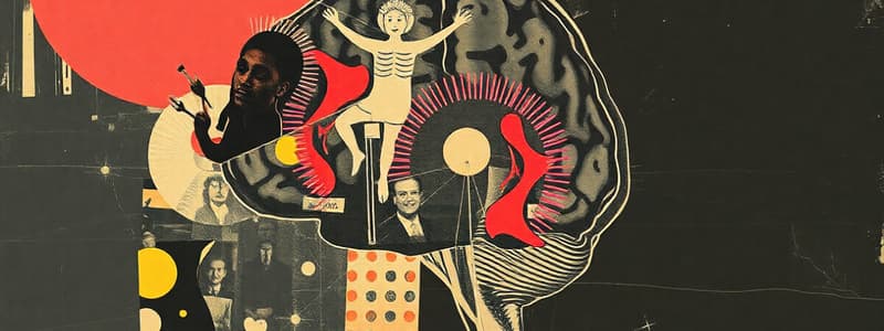 Neuroimaging in Psychosis: Overview and Methods