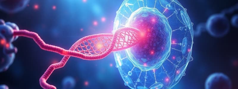 Prokaryotic and Eukaryotic Genome Structure