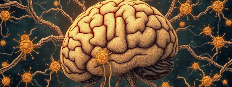 Neuron Types and Neuromyths