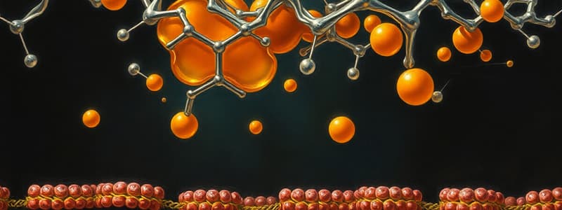 Cholesterol and Vitamin D Synthesis Quiz