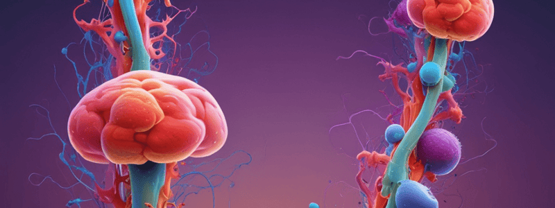 Acetylcholine Pathway in Salivary Gland Cells