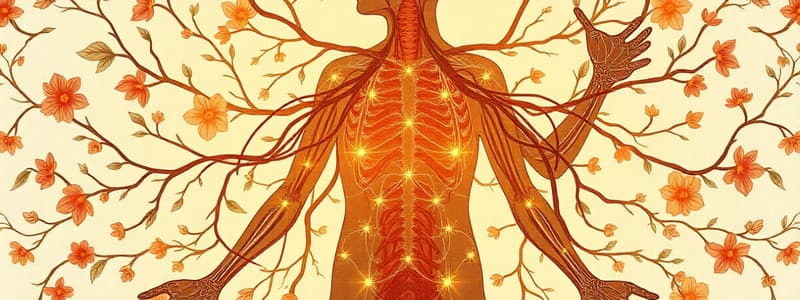 Autonomic Nervous System Overview