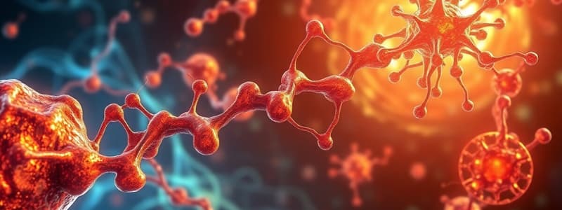 Biochemistry: Anabolic Pathways and Gluconeogenesis