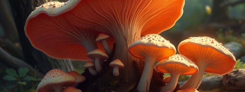 Fungi Overview and Characteristics