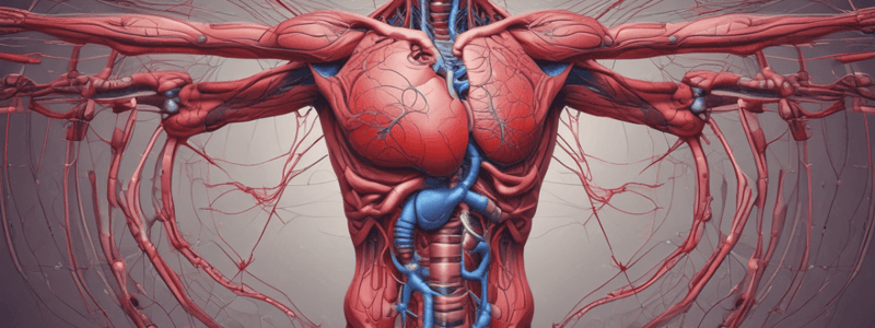 Physiology Quiz: Heart Valves and Capillary Function