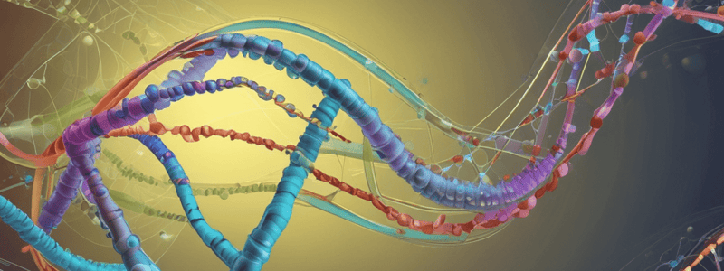 RNA Regulation in Eukaryotes