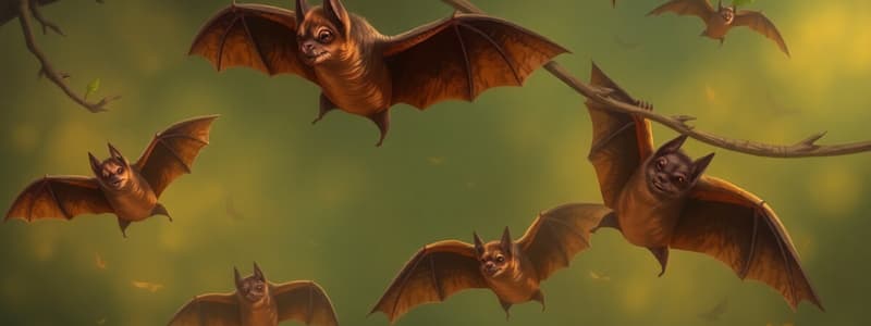 Straw-Colored Fruit Bat Migration