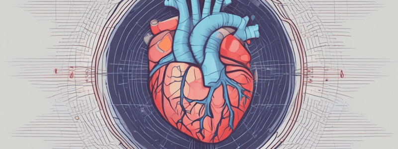 Introduction to Echocardiography