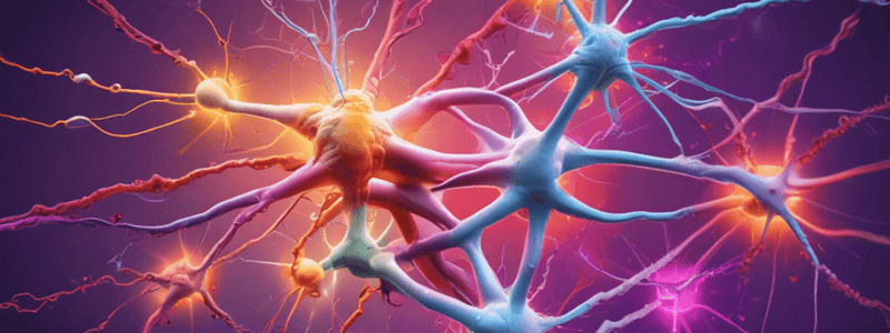 Action Potential Phases Quiz