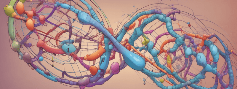 Protein Synthesis Regulation