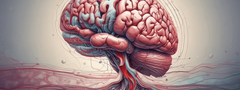 Brain Anatomy: Blood Brain Barrier and Imaging