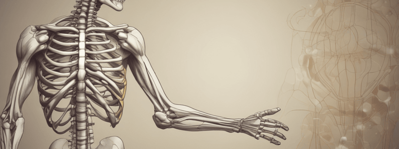 Types of Synovial Joints