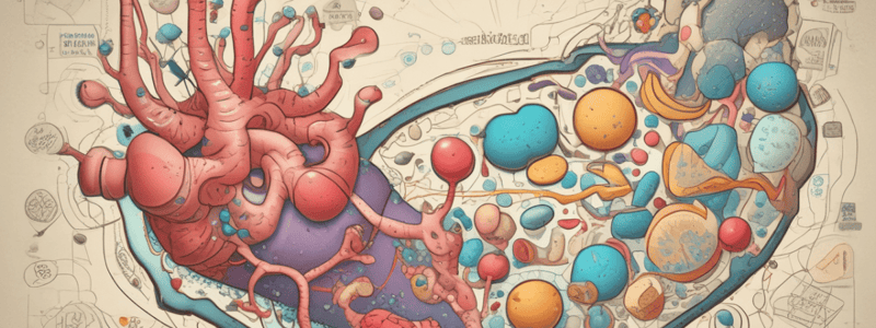 Monosaccharides: Classification and Nomenclature