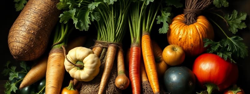 Vegetable Classification Quiz