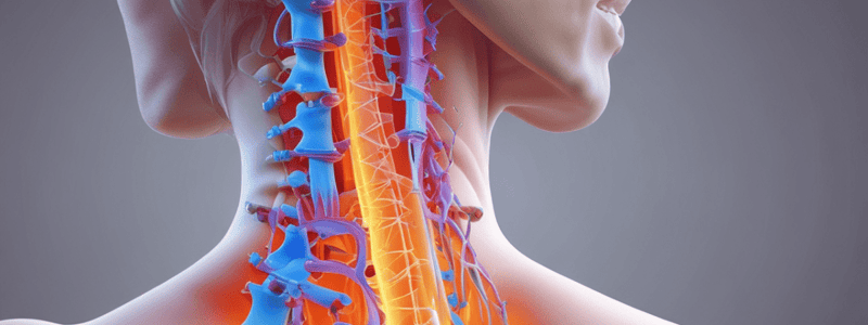 Degenerative Disc Diseases of the Cervical Spine