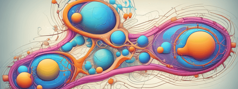 Cellular Respiration and ATP