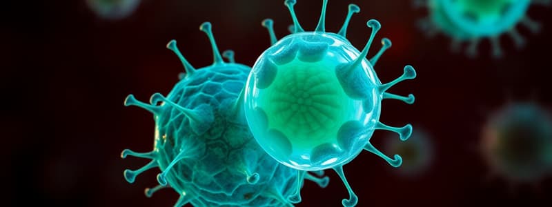 Cell Growth and Division Overview