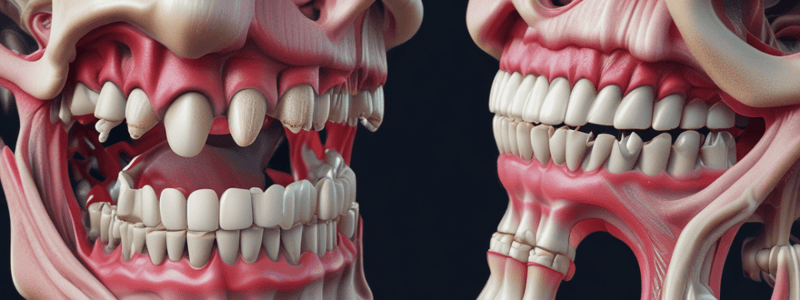 Periodontium Part 4: Periodontal Tissue and Root Development