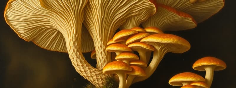 Fungal Biology: Synchytrium Quiz