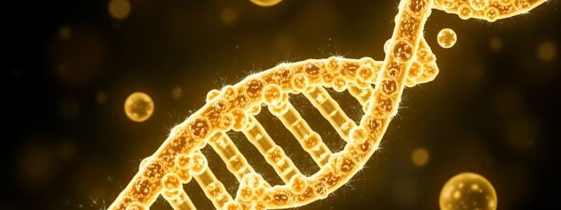 DNA Polymerase & Replication