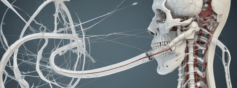 Arthrography and Contrast Agents Quiz