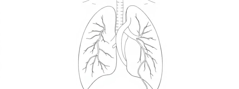 Circolo Polmonare e Resistenze Vascolari (Fisiologia 37)