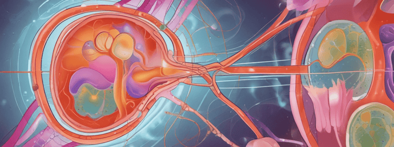 Renal Gluconeogenesis and Lactate Handling