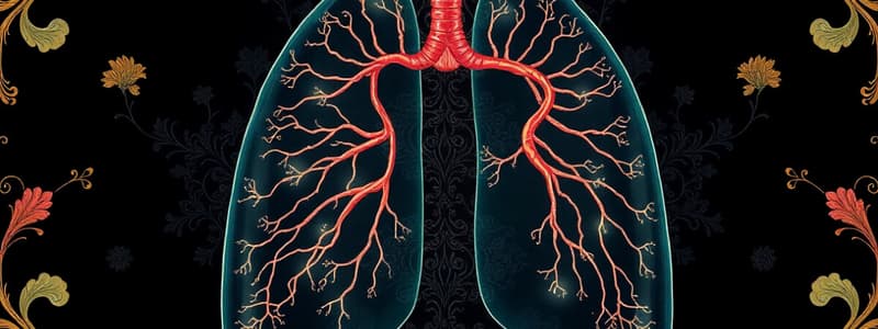 Human Respiratory and Circulatory Systems