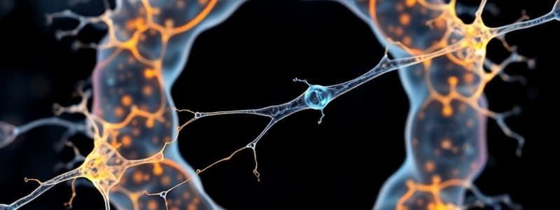 Cytoskeleton Structure and Functions