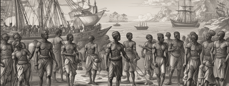 History Lesson 6 Transatlantic Slave Trade