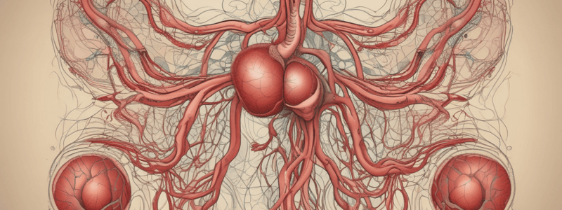 Blood Flow and Circulation