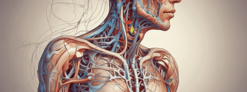 Heart Rate Control: Autonomic Nervous System Regulation