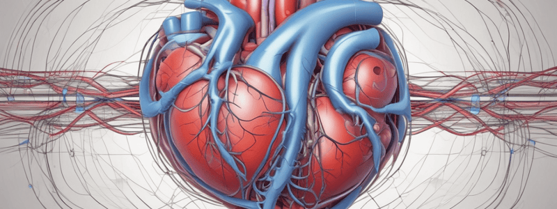 Cardiac Conduction System and Arrhythmias