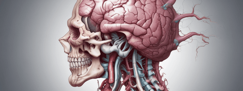 Decerebrate Rigidity: Abnormal Extensor Posturing