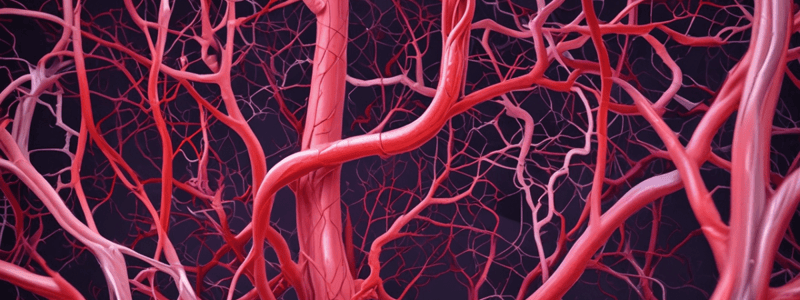 Blood Vessels Anatomy and Function Quiz