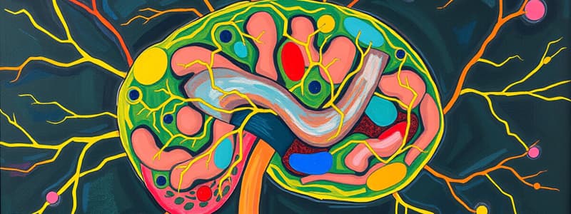 Enteric Nervous System Overview