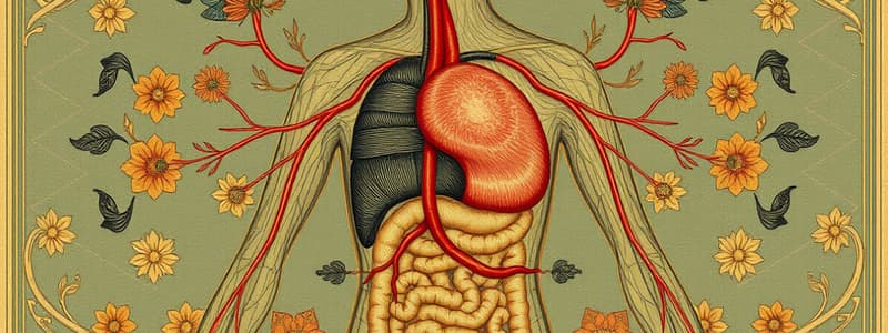 Sistema Circulatorio y Digestivo