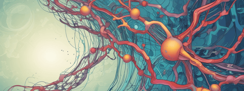 Microtubule Motor Proteins and Cell Transport