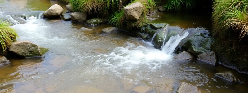 Protección del Medio Ambiente