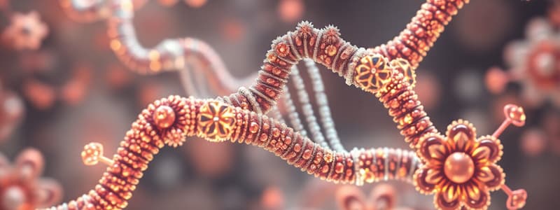 Polymerase Chain Reaction (PCR)