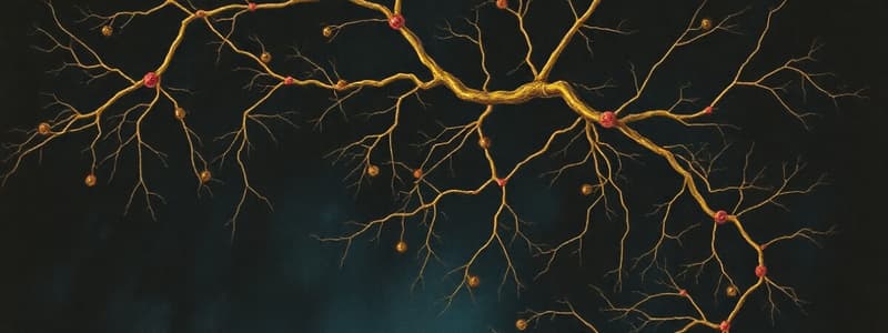 Neurotransmission and Synapses