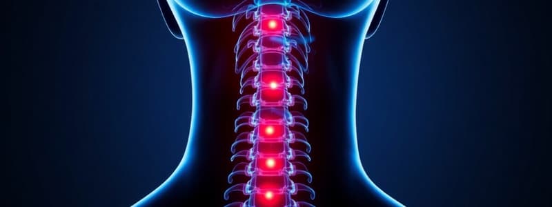 Neck Pain and Radiculopathy Quiz