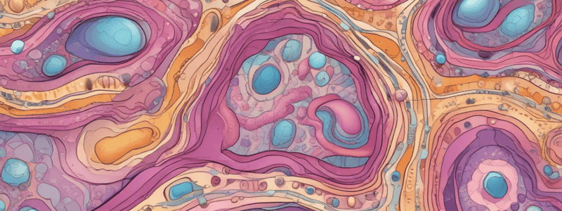 Epithelial Tissue Structure and Function