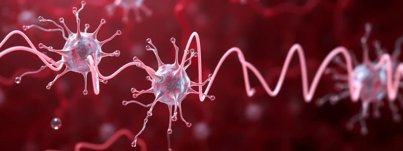 Cardiac Muscle Cells and Action Potential