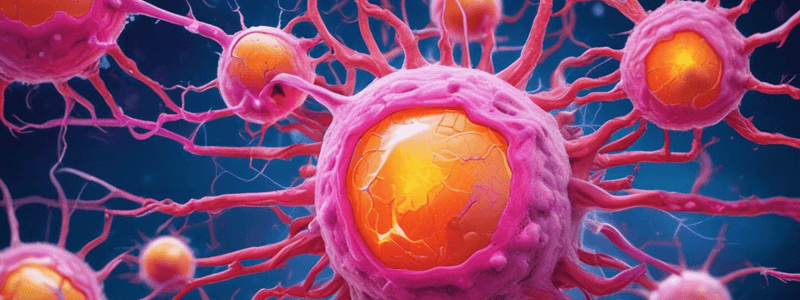 CESUR UD5: Tumor Development Process